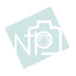 Profile Picture of Nicholas Frost Photography (@abeautifulweddingday) on Instagram