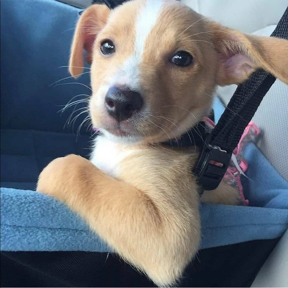 Domenick Colabello - Poshmark Profile Picture of Domenick Colabello (@mrjcmayer) on Poshmark