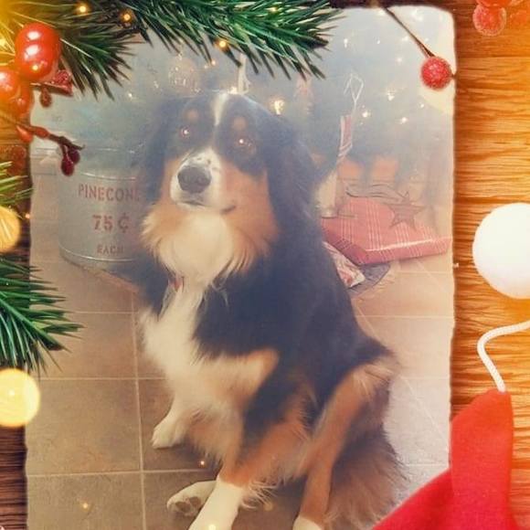 Profile Picture of Brenda Schneider (@schndr) on Poshmark