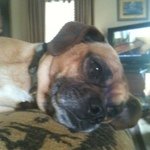 Profile Picture of johneason (@johneason) on Instagram