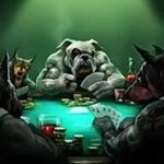 Steve Staton - Instagram Profile Picture of Steve Staton (@statonsteve) on Instagram