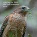 Profile Picture of Nancy Hebb (@nhebb) on Pinterest