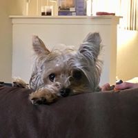 Profile Picture of Catherine Camerota O'brien (@catherine-camerota-obrien) on Quora