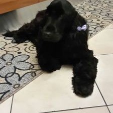 Profile Picture of Tamara Ferro (@tamaraferro3) on Twitter