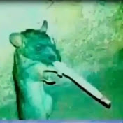 Profile Picture of David Alire (@davidalire4242) on Youtube