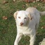 Profile Picture of Jade Kennedy (@Jadetoribffl) on Youtube