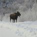 Profile Picture of Ron Black (@jasonbarber911) on Pinterest
