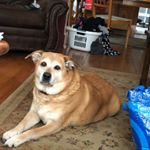 Profile Picture of Jason (@jason_wolfgang124) on Instagram