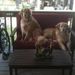 Profile Picture of Jane Ruppen (@key5135) on Pinterest