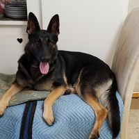 Profile Picture of Judy Spain (@judy-spain-11) on Quora
