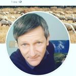 Profile Picture of Massimo De Lisa (@delisamassimo) on Instagram