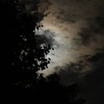 Profile Picture of Bruce Basham (@bashambrucelive) on Instagram
