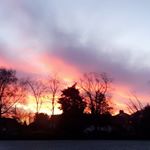 Profile Picture of Joseph Waldron (@jxe_wxldron) on Instagram