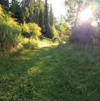 Profile Picture of Jefferson Muller (@Jefferson-Muller) on Facebook