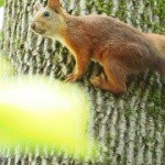 Profile Picture of Shawno (@shawnosterndale5) on Instagram