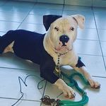 Profile Picture of Rocco Manuel Quintero Avilés (@rocco_manuelpty) on Instagram