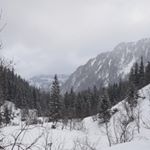 Profile Picture of Chris Pires (@pires_chris) on Instagram