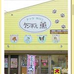 Profile Picture of ドッグサロンケンネル薫 船橋店🐶 (@kennelkaorufuna) on Instagram
