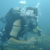 Profile Picture of Matt Cody (@matt-cody-5) on Quora