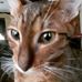 Profile Picture of Jacob Stephenson (@jacob.mcallister.3950178) on Facebook