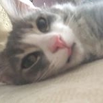 Profile Picture of Jake Stacey (@jakestacey06) on Instagram