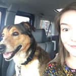 Profile Picture of Jessi  Mitchell (@jessimitchellart) on Instagram