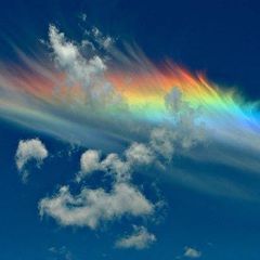 Profile Picture of davidmcrobie271 (@davidmcrobie271) on Tiktok