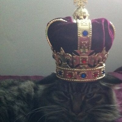 Profile Picture of Katrina David (@DavidTrina) on Twitter