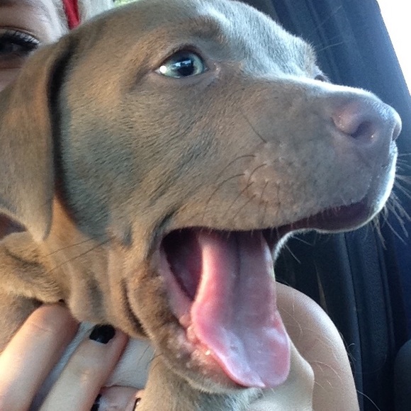 Profile Picture of Kyla Bakalar (@bakalark) on Poshmark