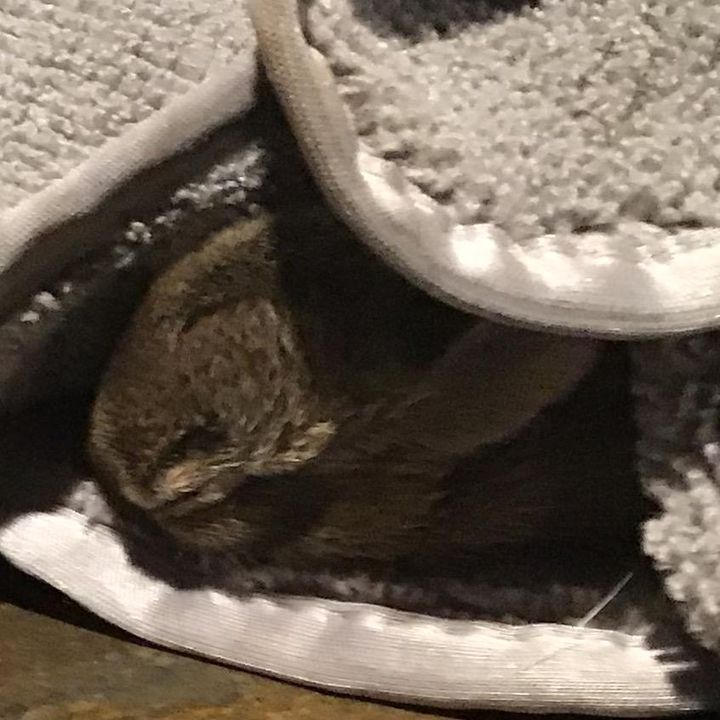 Profile Picture of Willow_asthesic_roblox (@kaylapeterssistersreese) on Tiktok