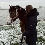 Sara Denise Scheffler - Facebook Profile Picture of Sara Denise Scheffler (@Sara-Denise-Scheffler) on Facebook