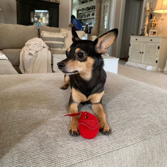 Anna Salvati - Poshmark Profile Picture of Anna Salvati (@anna1995s) on Poshmark