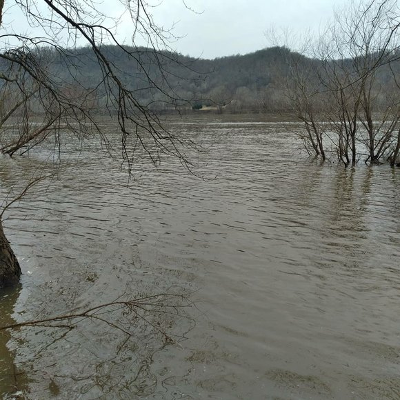 Profile Picture of Dustin Saylor (@dustin_saylor) on Poshmark