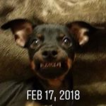 Profile Picture of Brian guess (@castiel.gu) on Instagram