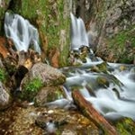 Profile Picture of Michael Davis (@chupahinobrandenmoss) on Instagram