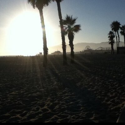 Profile Picture of Marcus Barber (@BarberBarber3) on Twitter