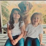 Profile Picture of Alicia🦋👩‍👧‍👧 (@aliciaphipps1317) on Instagram