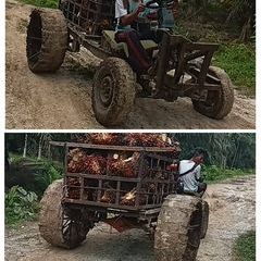 Profile Picture of David Karina (@david.karina2) on Tiktok