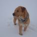Profile Picture of Joel Ferrier (@joel.ferrier.9) on Facebook