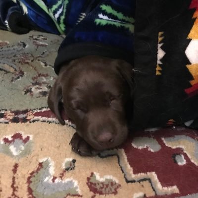 Profile Picture of Spencer Synness (@SpencerSynness) on Twitter
