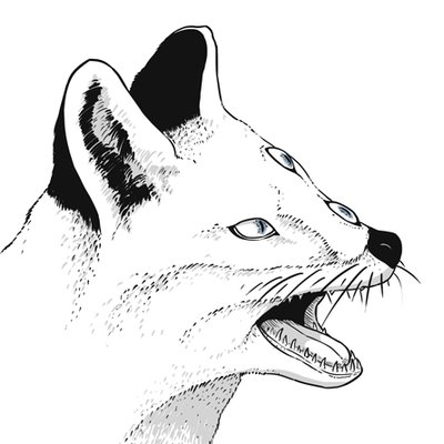 Profile Picture of Tom Skoog (@TomJanSkoog) on Twitter