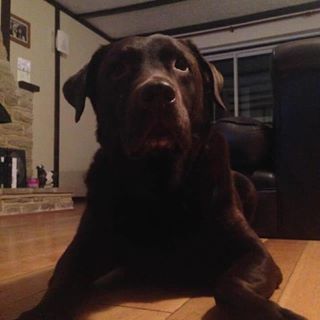 Profile Picture of Philip Riddle (@philip.riddle.5) on Facebook