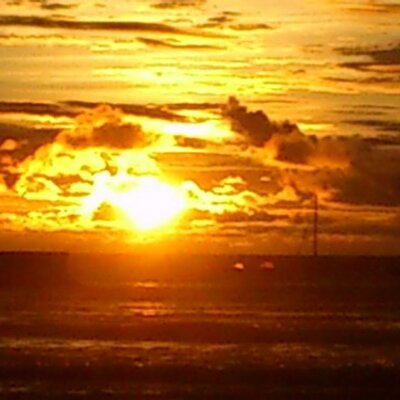 Profile Picture of Steven Guido (@GuidoSteven) on Twitter