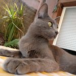 Profile Picture of Gary Mocho Casas (@gary_mocho) on Instagram