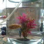 Profile Picture of Amy Hebert (@amy.hebert.16) on Instagram