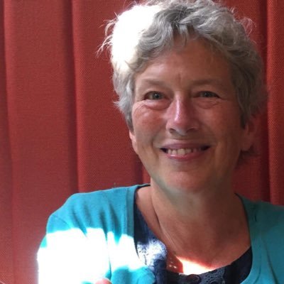 Profile Picture of AlisonJMiller (@LalJaneMiller) on Twitter