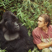 Profile Picture of Robert Breen (@robertbreen6971) on Youtube