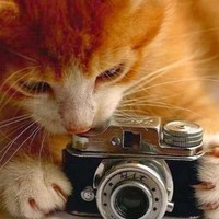 Profile Picture of Abdel Bilal (@abdel-bilal) on Quora