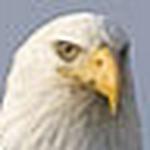 Profile Picture of rebecca michael (@rebeccaandmichaelwedding) on Flickr