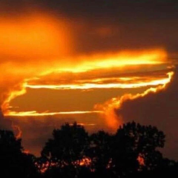 Profile Picture of Tammy Smith Foust (@tammyfoust2) on Tiktok